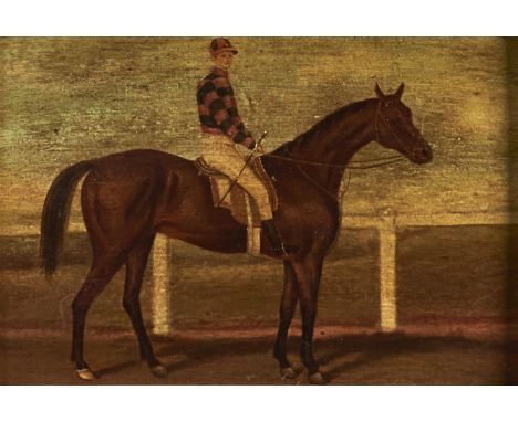 British School - Portrait of a Racehorse with Jockey up, oil on board, 22 x 33cm, maple frame  Medium thin in places, varnish