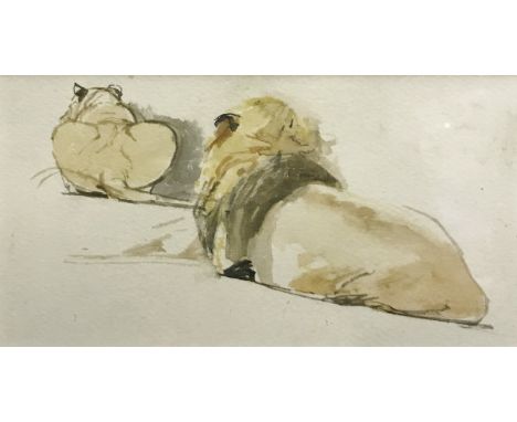 ENGLISH SCHOOL "Male and Female Lion, a Study from Behind" watercolour over pencil unsigned, together with AFTER WILLIAM NICH