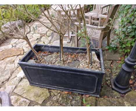 A Chelsea Trough Lead Effect Robust, Lightweight And Frost Proof Construction From Durable Plastic Trough Planter 100 x  45 x