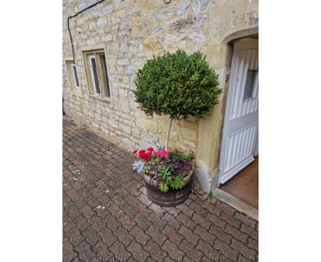 A Pair Of Wooden Planter Half Whiskey Barrel Authentic Half A Scottish Barrel - Approx. 80 Litres - Untreated Wood 65-68 Cm D