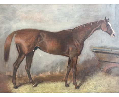 (19th Century) "Blair Athol" Winner of the Derby 1864, sensitive equestrian portrait, the chestnut horse standing in a stable