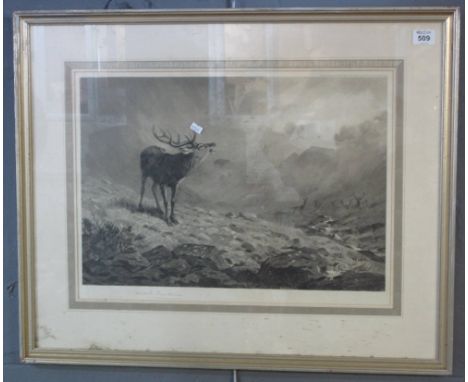 After Archibald Thorburn, braying stag with hinds in Scottish landscape, signed in pencil by the artist, monochrome print. 38