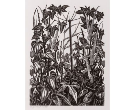 δ Poole (Monica) Collection of six signed wood-engravings, including 'Hedgerow', 'Seaweed', 'Late Magnolia', 'Towbridge Castl