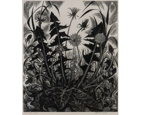 δ Poole (Monica) Dandelion; Magnolia, two works, wood-engravings on cream wove papers, both signed in pencil, inscribed and n