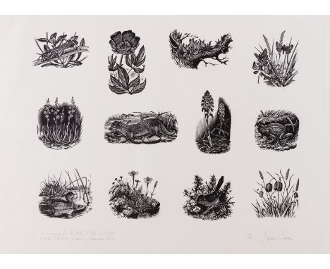 NO RESERVE δ Beaven (Marcus) A sheet of 12 book illustrations for Ralph Whitlock's 'Wildlife in Wessex', wood-engravings on i