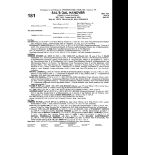 Sal's Gal Hanover