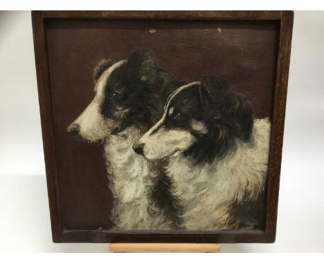English School, early 20th century, oil on canvas - Two Collie dogs, indistinctly signed, 49 x 48cm, framedCondition report: 