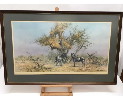 David Shepherd signed print - Zebras and Colony Wavers, in glazed frame, 44cm x 78cm