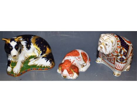 A Royal Crown Derby Paperweight, Border Collie, gold stopper, limited edition 745/2500, boxed; another, Bulldog, gold stopper