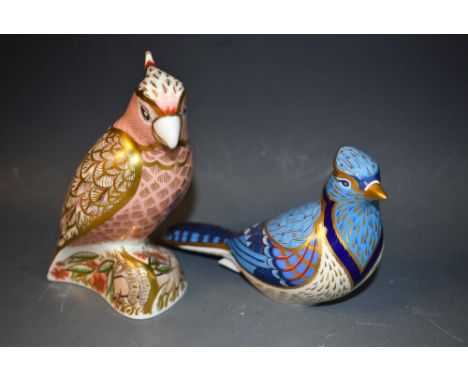 A Royal Crown Derby Paperweight, Blue Jay, gold stopper, boxed; another, Cockatoo, gold stopper, limited edition 1154/2500, c