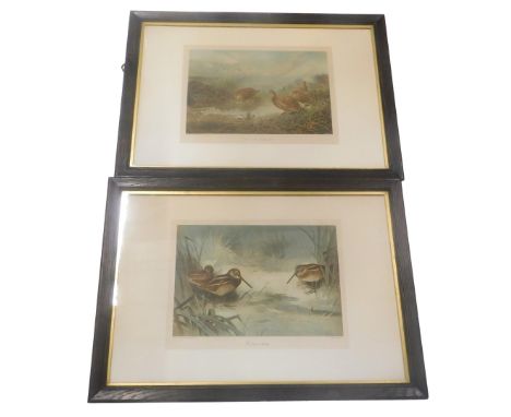 After Thorburn. Grouse at the Drinking Pool, and the frozen spring, illustrated sporting and dramatic news prints, 30cm x 43c