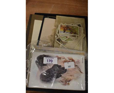 A small collection of vintage postcards, many Labrador themed and a small selection of cigarette cards.