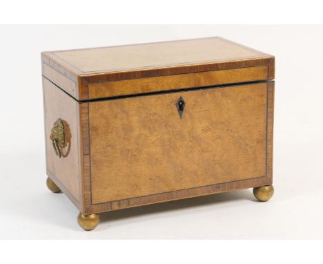 Regency birds eye maple and rosewood banded tea caddy, rectangular form, the interior having two lids, pressed brass lion's m
