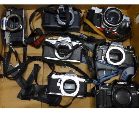 Six camera bodies, Minolta, Pentax, Olympus, etc., and a Praktica camera and lens