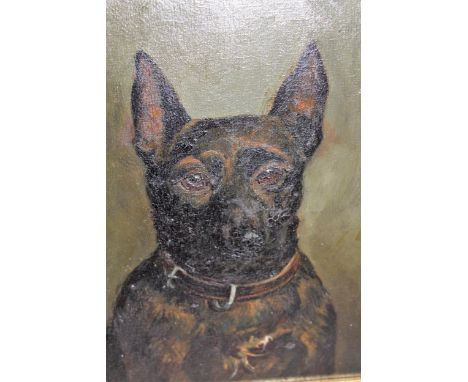 Early 20th Century oil, portrait of a dog, monogrammed E.M., 28cms x 23cmsCrazing to paint and very dark image, needs re-fram