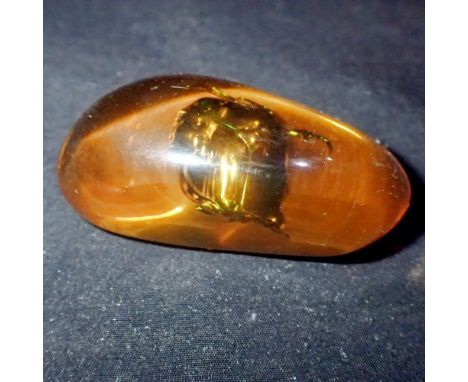 Green beetle preserved in amber tree resin. UK P&amp;P Group 1 (£16+VAT for the first lot and £2+VAT for subsequent lots)&nbs