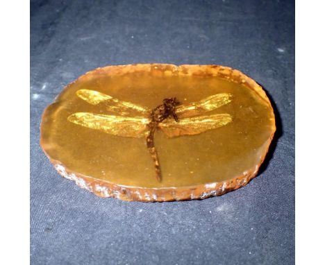 Dragonfly preserved in amber tree resin. UK P&amp;P Group 1 (£16+VAT for the first lot and £2+VAT for subsequent lots)&nbsp; 