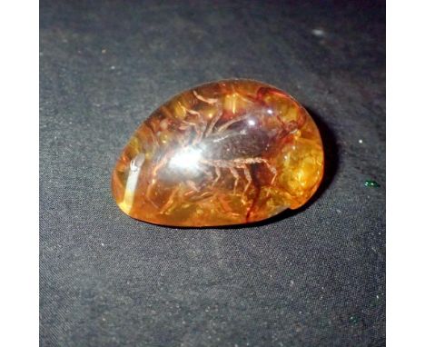 Posionous scorpion preserved in amber tree resin. UK P&amp;P Group 1 (£16+VAT for the first lot and £2+VAT for subsequent lot