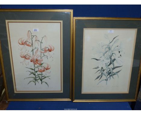 A large framed and mounted artist proof Print depicting Lilium Henry, signed by the artist Jenny Jowett, 21 1/2" x 29 1/4", a