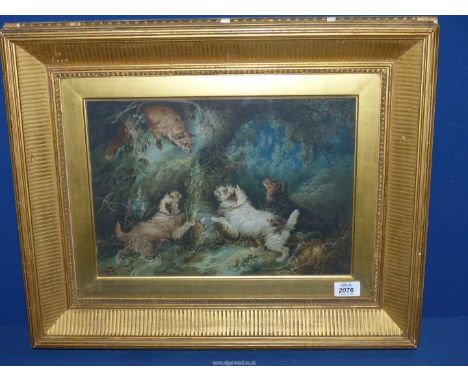 A framed coloured Lithograph of a fox terriers scene, entitled "in a Fix, surrounded by Enemy" a fox terriers scene,  14 1/2"