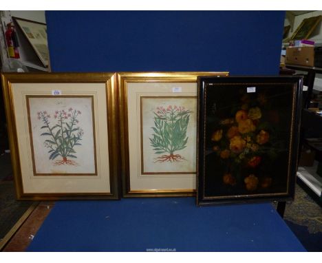 Two gilt framed original "Manuscript Collection" prints, and one black framed print of a vase of flowers.