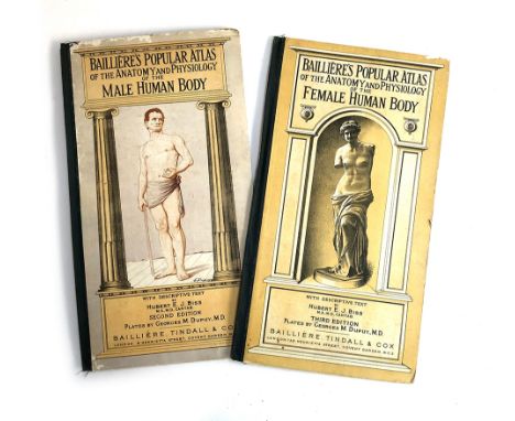 Bailliere's Popular Atlas of the Anatomy and Physiognomy of the Male and Female body, by Hubert E.J Biss, plates by Georges M