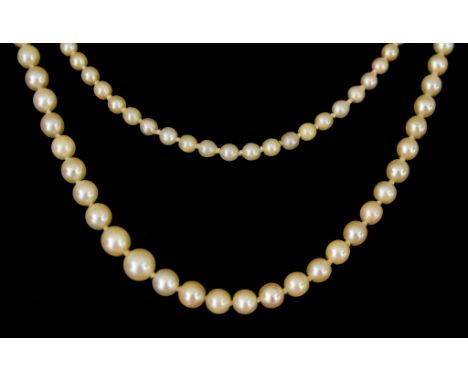 A Double String of Cultured Pearls, with diamond set clasp, two rows of cultured pearls 500mm, with lozenge shaped clasp set 