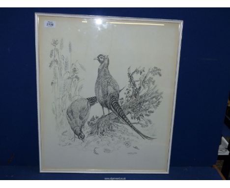 A framed print depicting a pair of pheasants, signed lower right Christine (?), 20'' x 23 ¼''.