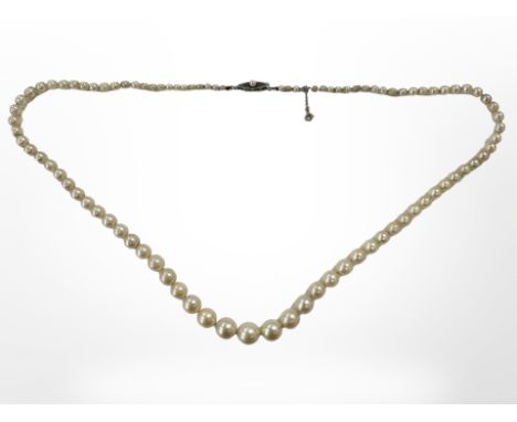 A 1920's graduated pearl necklace with pearl mounted white metal clasp and safety chain, length 54 cm, largest pearl approxim
