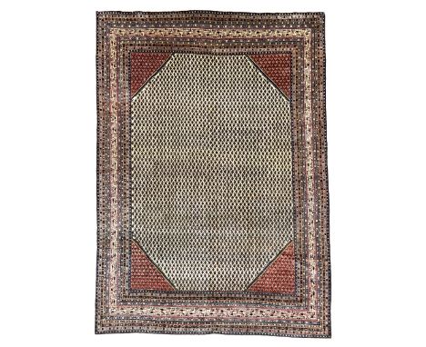 Persian Araak carpet, light ground field decorated with repeating small Boteh motifs, contrasting red ground spandrels, eleve