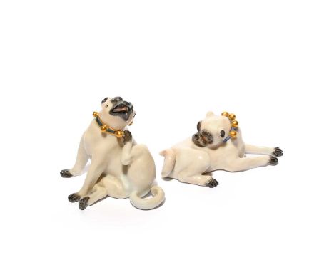 A pair of Meissen figures of pugs, 19th century, one modelled scratching his neck, the other grooming its back, with gilt bel