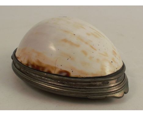 A 19th century cowrie shell snuff box, with silver plated mounts