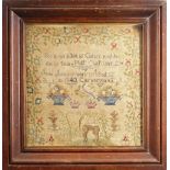 19TH CENTURY NEEDLEWORK SAMPLER BY JANE JONES, AGED 12, DATED 1843, CARNARVON, 32 x 30cms