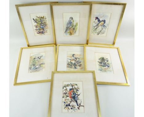 CHARLES FREDERICK TUNNICLIFFE OBE RA (1901-1979) seven watercolour studies of British birds - bullfinch, peregrine falcon, la