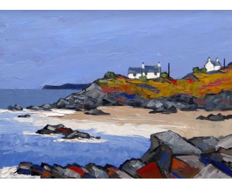 DAVID BARNES oil on canvas board - Ynys Mon with whitewashed cottages on cliff tops, entitled verso 'West Coast of Anglesey',