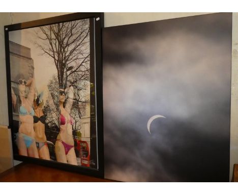 A Framed First Edition Chris Acheson Print on Canvas, The Metamorphosis, with Certificate of Authenticity on Reverse, No 16/9