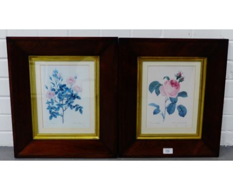 Two rosewood framed botanical coloured prints, 40 x 46cm, (2)