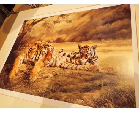Mounted print Tigers Eye by Spencer Hodge