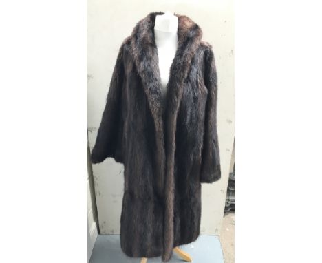 A Canadian musquash fur coat, with makers label for Dickins and Jones, Regent Street.