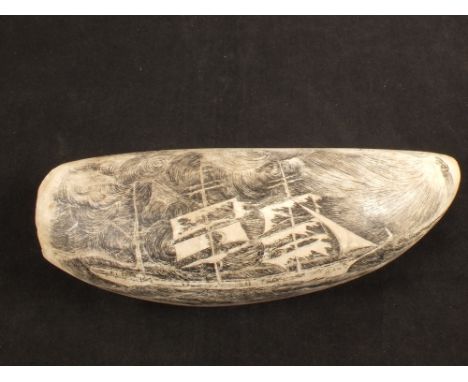 A whales tooth scrimshaw with three masted ship decoration, signed Nils, Cape Horn 1908, length 7"