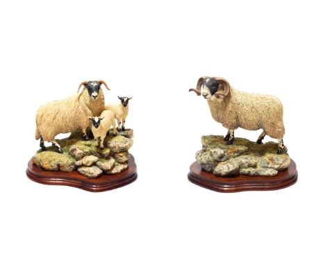 Border Fine Arts 'A Ewe and a Pair', model No. B0238, limited edition 511/1750 and 'Blackie Tup', model No. B0354, limited ed