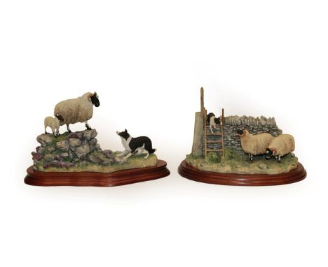 Border Fine Arts 'Holding her Ground' (Ewe, Lamb and Border Collie), model No. B0198, limited edition 75/2500, on wood base a