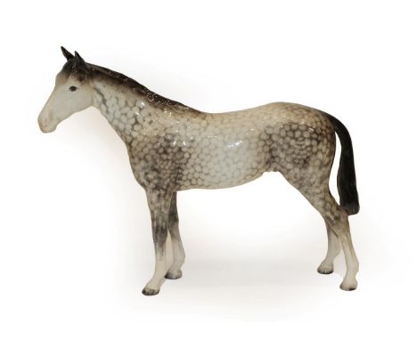 Beswick Bois Roussel Racehorse, Second Version, model No. 701, Rocking horse grey gloss (a.f).  Front near-side leg restored 