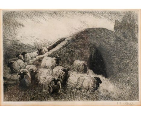 J R H Duff - Sheep etching, pencil signed to margin, 15 x 23 cm