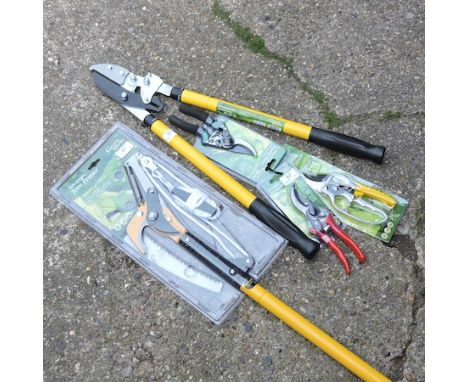 A pair of secateurs, two others, an 8ft telescopic lopper and a pair of telescopic ratchet loppers 