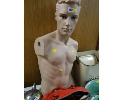 A male mannequin torso
