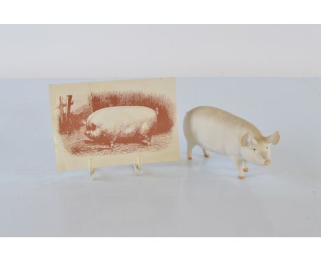 A Beswick matt glaze model of a pig, together with a Shire Postcard of a Small White Boar (2)