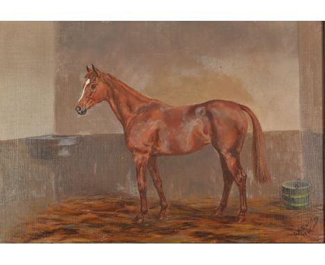 GILBERT ACHESON CATTLEY
A horse portrait
Oil on board
Signed and dated 1946
34 x 50cm. 