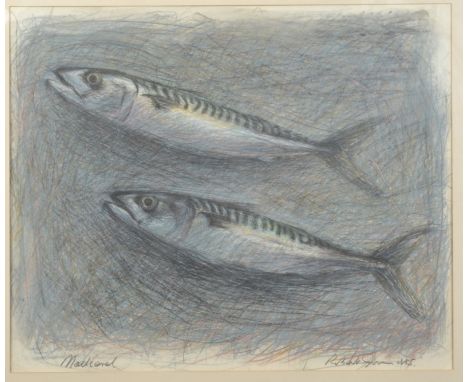 ROBERT JONES 
Mackerel 
Mixed media
Signed, inscribed and dated 1985
42.5 x 51cm. 