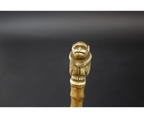 JAPANESE NETSUKE OF A MONKEY - WHANGEE STICK a whangee stick with a bamboo shaft, mounted with a carved bone netsuke of a sea
